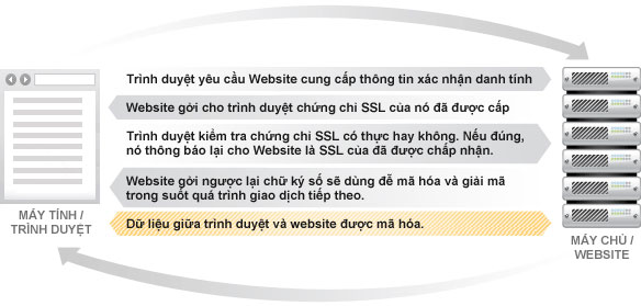 Chứng chỉ SSL là gì?