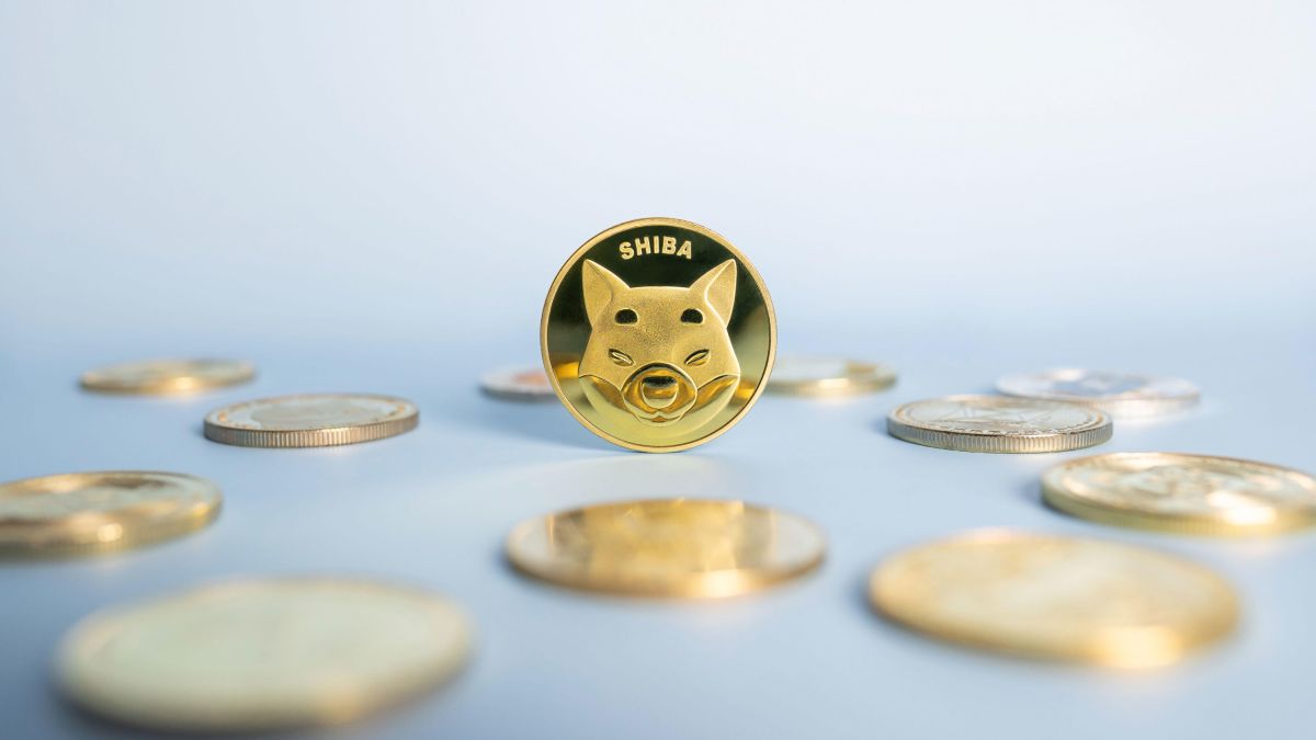 Shiba inu coin