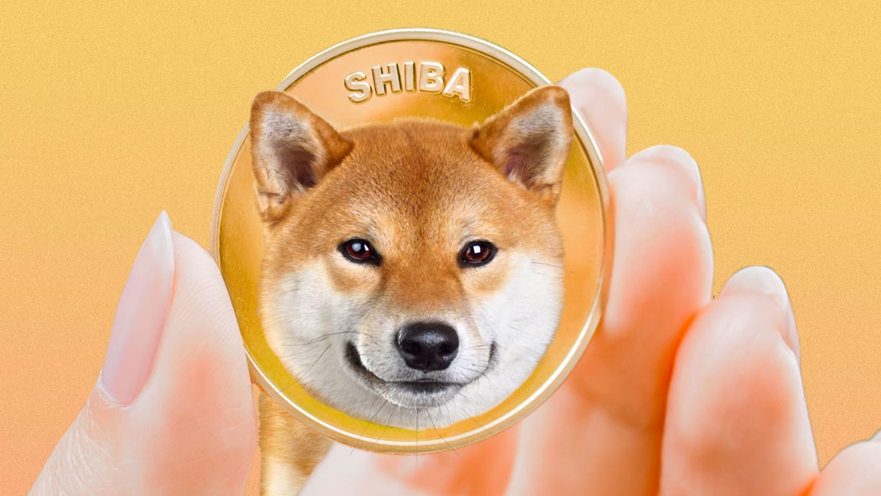 Shiba Inu Coin
