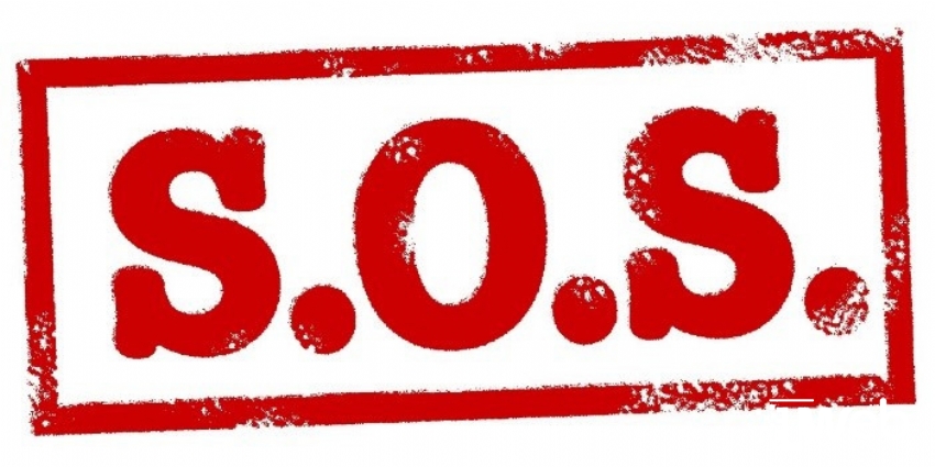 Giải mã "hot trend" Ét O Ét làm mưa làm gió trong giới trẻ