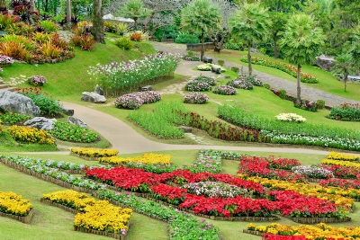 Lễ hội hoa Đà Lạt được tổ chức khi nào? Có gì đặc sắc?